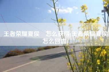 王者荣耀夏侯惇怎么获得(王者荣耀夏侯惇怎么回血)