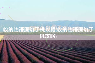 收纳物语魔幻手机攻略(收纳物语魔幻手机攻略)