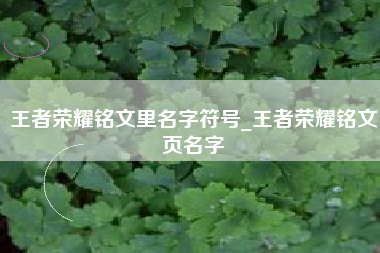 王者荣耀铭文里名字符号_王者荣耀铭文页名字
