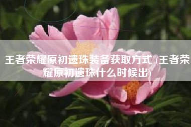 王者荣耀原初遗珠装备获取方式 (王者荣耀原初遗珠什么时候出)