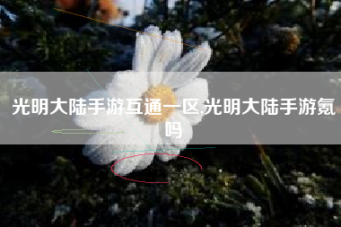 光明大陆手游互通一区,光明大陆手游氪吗