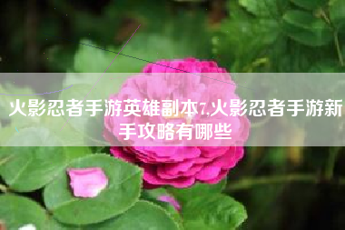 火影忍者手游英雄副本7,火影忍者手游新手攻略有哪些