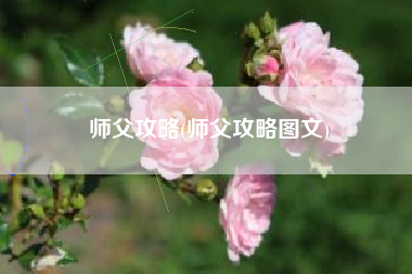 师父攻略(师父攻略图文)