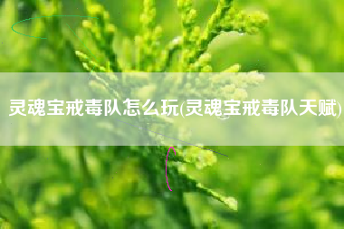 灵魂宝戒毒队怎么玩(灵魂宝戒毒队天赋)