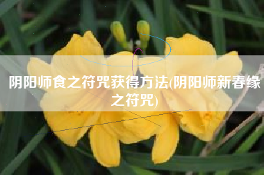 阴阳师食之符咒获得方法(阴阳师新春缘之符咒)