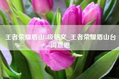王者荣耀盾山5级铭文_王者荣耀盾山台词意思