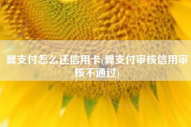 翼支付怎么还信用卡(翼支付审核信用审核不通过)