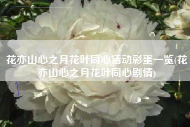 花亦山心之月花叶同心活动彩蛋一览(花亦山心之月花叶同心剧情)