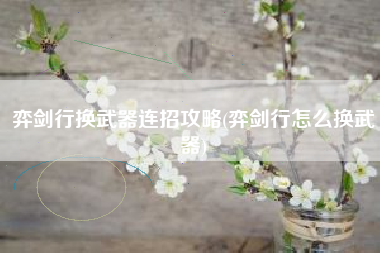 弈剑行换武器连招攻略(弈剑行怎么换武器)