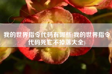 我的世界指令代码有哪些(我的世界指令代码死亡不掉落大全)