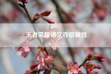 王者荣耀铭文夺翠属性