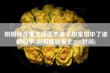 阴阳师在鬼王座茨木童子和鬼切中了谁的幻术(阴阳师超鬼王2022时间)
