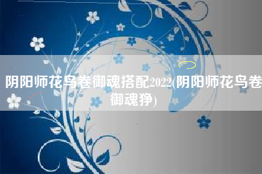 阴阳师花鸟卷御魂搭配2022(阴阳师花鸟卷御魂狰)