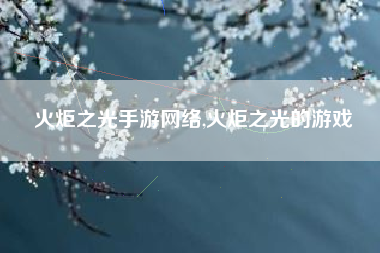 火炬之光手游网络,火炬之光的游戏