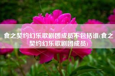 食之契约幻乐歌剧团成员不包括谁(食之契约幻乐歌剧团成员)