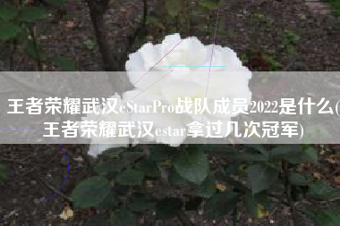 王者荣耀武汉eStarPro战队成员2022是什么(王者荣耀武汉estar拿过几次冠军)