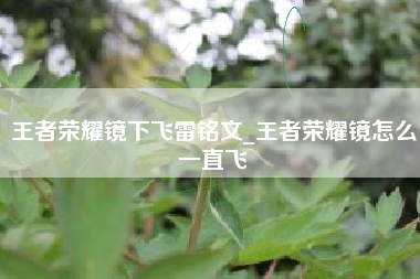 王者荣耀镜下飞雷铭文_王者荣耀镜怎么一直飞