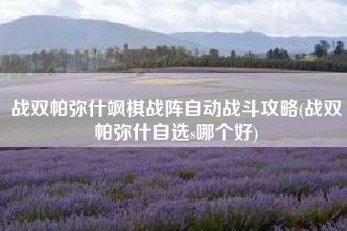 战双帕弥什飒棋战阵自动战斗攻略(战双帕弥什自选s哪个好)