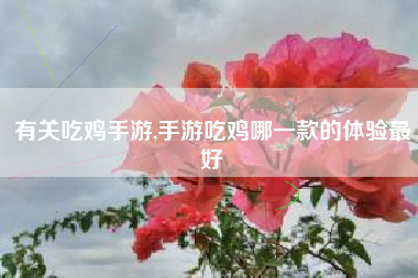 有关吃鸡手游,手游吃鸡哪一款的体验最好