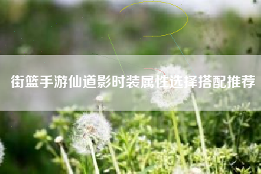 街篮手游仙道影时装属性选择搭配推荐