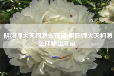 阴阳师大天狗怎么获得(阴阳师大天狗怎么样输出才高)