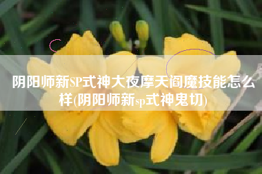 阴阳师新SP式神大夜摩天阎魔技能怎么样(阴阳师新sp式神鬼切)