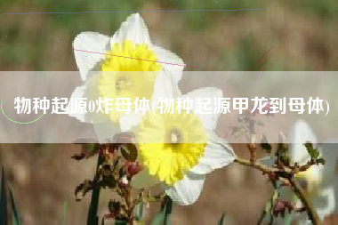 物种起源0炸母体(物种起源甲龙到母体)