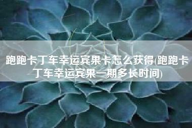 跑跑卡丁车幸运宾果卡怎么获得(跑跑卡丁车幸运宾果一期多长时间)