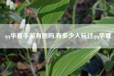 qq华夏手游有拖吗,有多少人玩过qq华夏