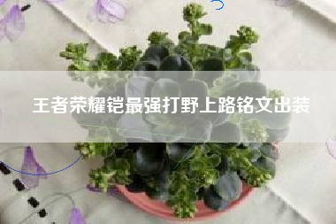 王者荣耀铠最强打野上路铭文出装