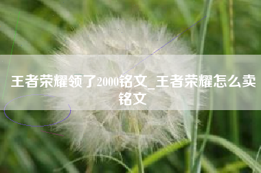 王者荣耀领了2000铭文_王者荣耀怎么卖铭文