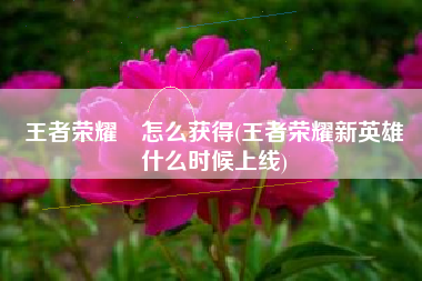 王者荣耀暃怎么获得(王者荣耀新英雄暃什么时候上线)