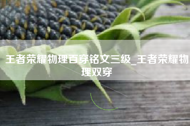 王者荣耀物理百穿铭文三级_王者荣耀物理双穿