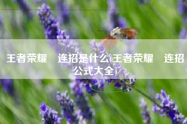 王者荣耀暃连招是什么(王者荣耀暃连招公式大全)