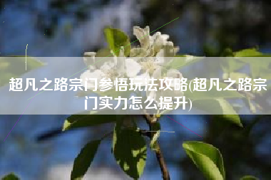 超凡之路宗门参悟玩法攻略(超凡之路宗门实力怎么提升)