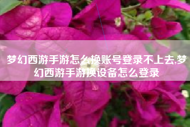 梦幻西游手游怎么换账号登录不上去,梦幻西游手游换设备怎么登录