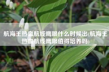 航海王热血航线鹰眼什么时候出(航海王热血航线鹰眼值得培养吗)