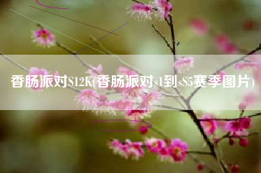 香肠派对S12K(香肠派对s1到sS5赛季图片)