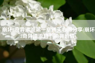 崩坏3奇异漂流第一章通关心得分享(崩坏3奇异漂流月下初拥剧情)