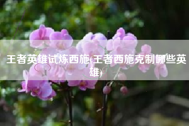 王者英雄试炼西施(王者西施克制哪些英雄)