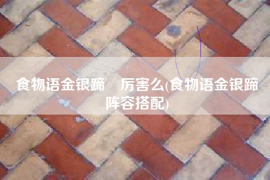 食物语金银蹄髈厉害么(食物语金银蹄髈阵容搭配)