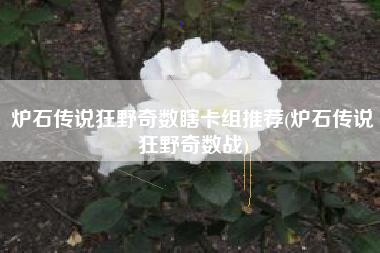 炉石传说狂野奇数瞎卡组推荐(炉石传说狂野奇数战)