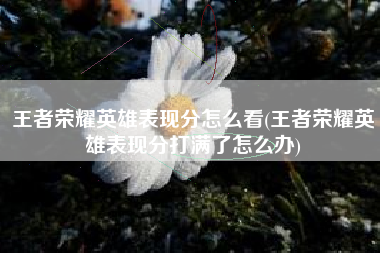王者荣耀英雄表现分怎么看(王者荣耀英雄表现分打满了怎么办)