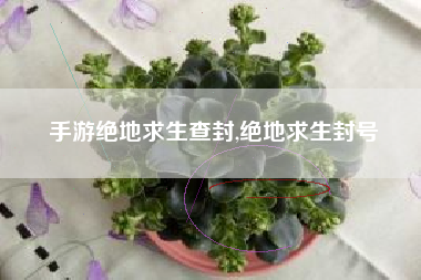 手游绝地求生查封,绝地求生封号