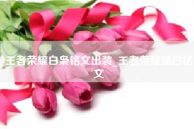王者荣耀白枭铭文出装_王者荣耀骚白铭文
