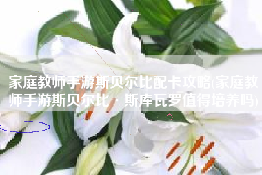 家庭教师手游斯贝尔比配卡攻略(家庭教师手游斯贝尔比·斯库瓦罗值得培养吗)