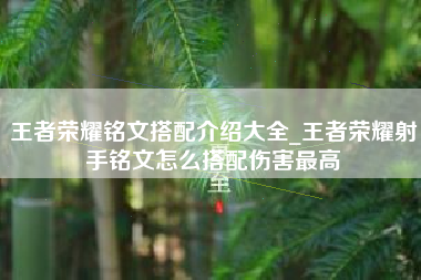 王者荣耀铭文搭配介绍大全_王者荣耀射手铭文怎么搭配伤害最高