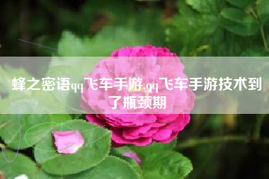 蜂之密语qq飞车手游,qq飞车手游技术到了瓶颈期
