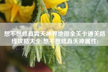 想不想修真霄天神界地图全关卡通关路线攻略大全(想不想修真天神属性)