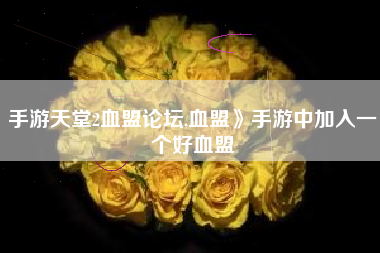 手游天堂2血盟论坛,血盟》手游中加入一个好血盟